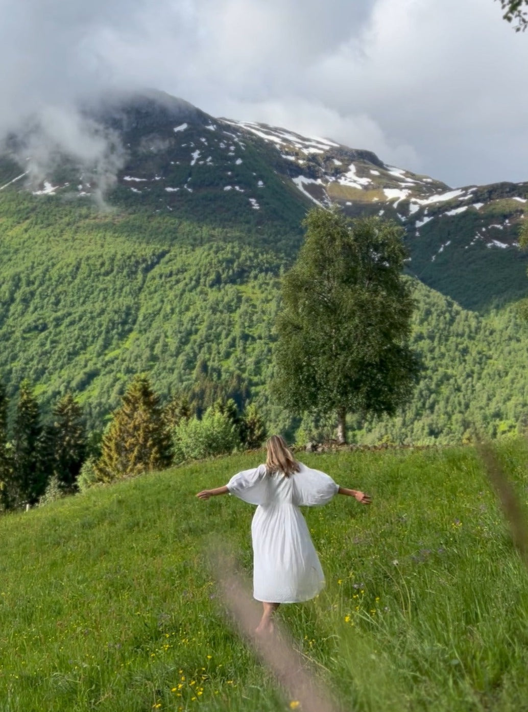 Annie | Long Sleeve Midi Dress