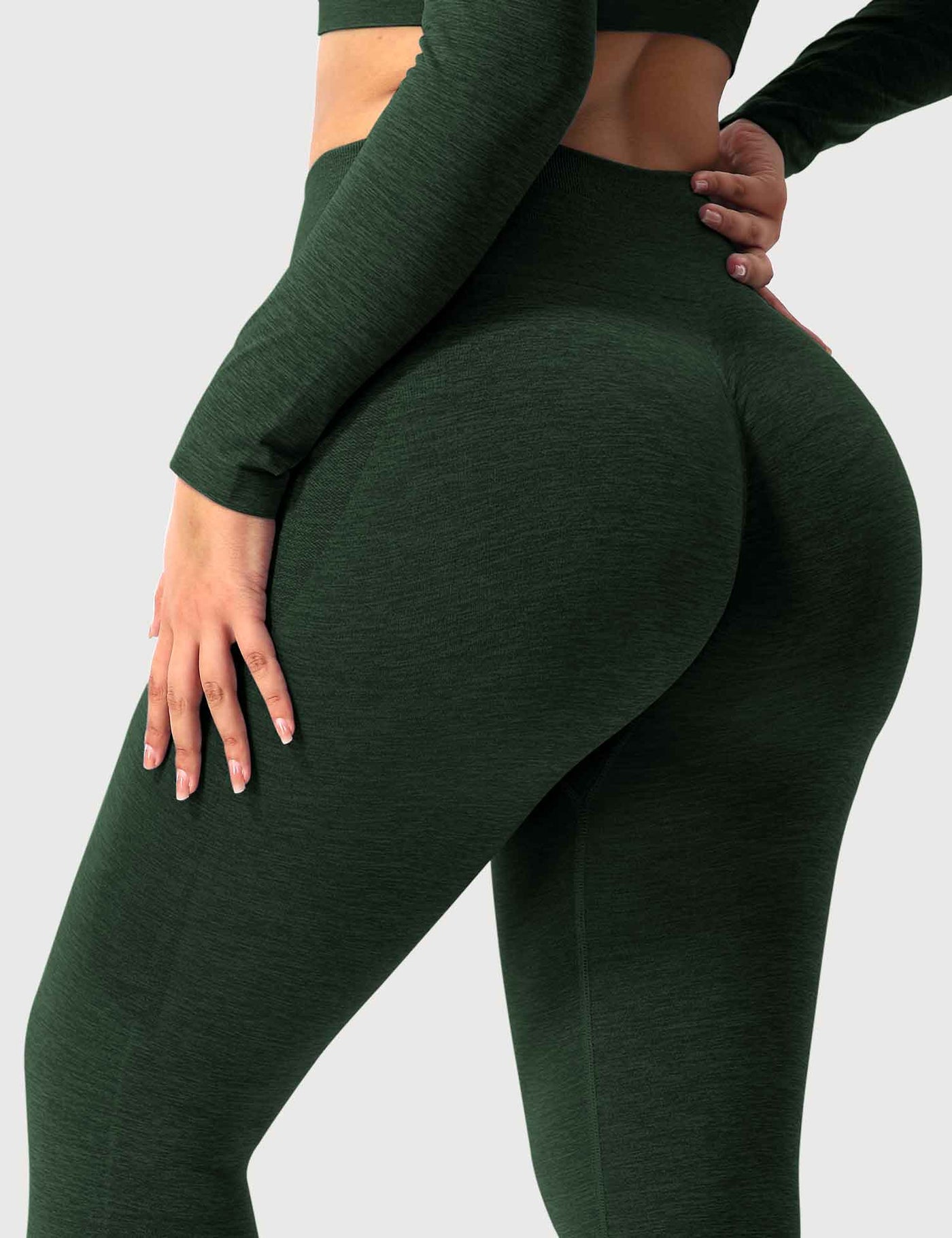 Sienna | Elegant Seamless Leggings